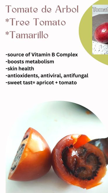 Tomate de Arbol, Fruit