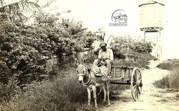 VBSL256 Augusta Street, Nassau, 1962.