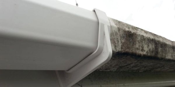 GUTTER CLEANING 
GUTTER CLEARING 
GUTTER REPAIRS
BOURNEMOUTH POOLE & CHRISTCHURCH
GUTTER REPLACEMENT