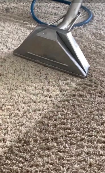 Hot water Carpet cleaning