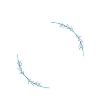 Integrity Medical Training