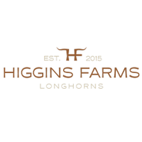 Higgins Farms Longhorns