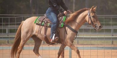 Person riding a tan horse in a fenced area.