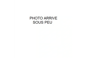 Dokunu servi avec poisson frite