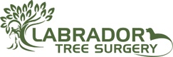 Labrador tree surgery 