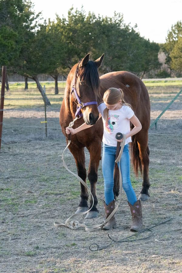 Young girl working with horse during equine-learning session