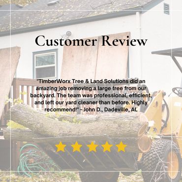 tree removal from property