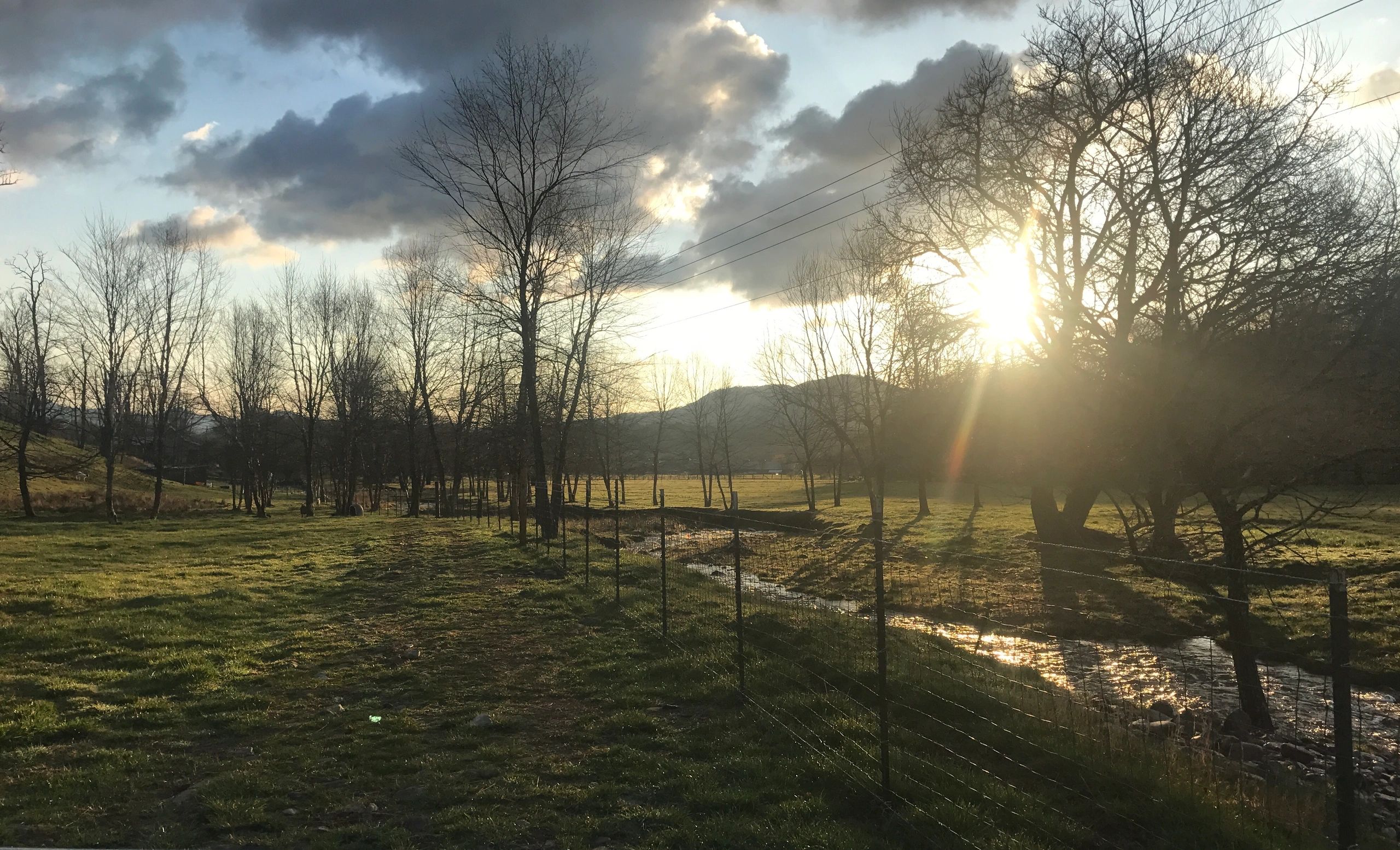 Stone Haven Farms Estate Boer Goat, Beef Cattle
