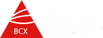 BCX Environmental Consulting