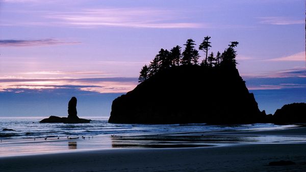 Low Tide on beach, Olympic National Park, WA