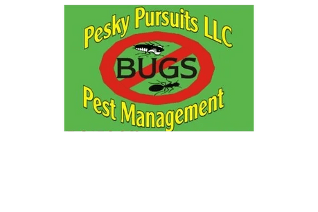 Pesky Pursuits LLC
