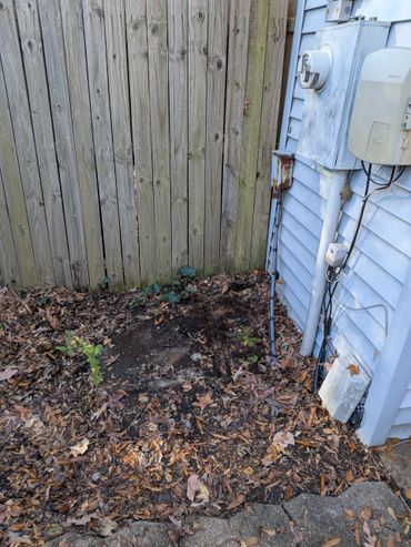 Backyard corner with fallen leaves and utility meters on a blue house.