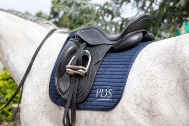 Carl Hester Dressage Saddle Brioso