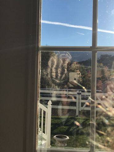 A Utah family has seen something canine-like looking in their windows!