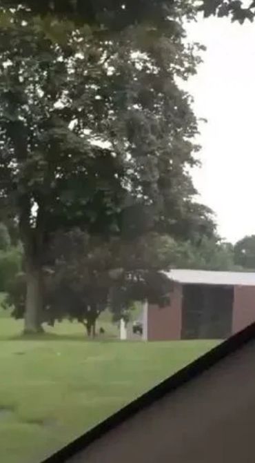 Potential Dogman Digging Up A Grave In Ohio?