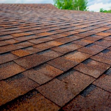 Close-up of a brown shingle roof under a partly cloudy sky.
