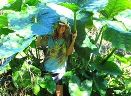 Chaya farmer in nature