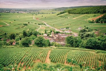 A quaint village nestled among expansive green vineyards and rolling hills.