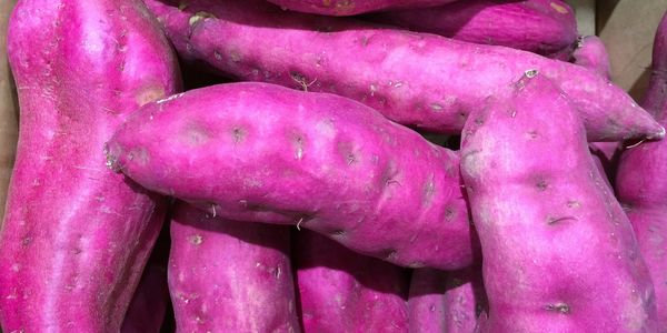 purple sweet potato antioxidants vitaminC potassium gut health anti-inflammatory blood pressure