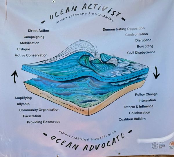 Diagram showing the roles of ocean activists and advocates.