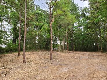 hwy90NWlookingtowardshallsmill