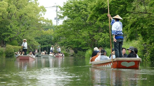 Tourists enjoy traditional boat rides on Yanagawa Canal surrounded by lush greenery.