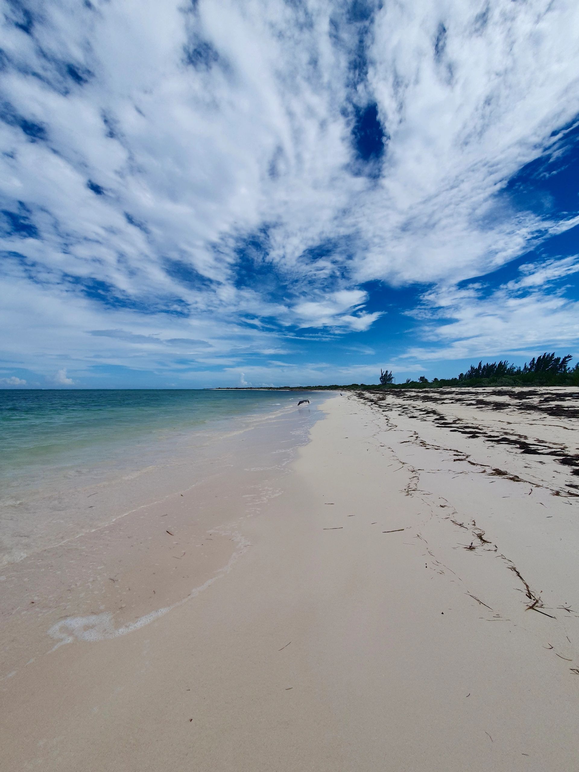 FELIZIANI art studio