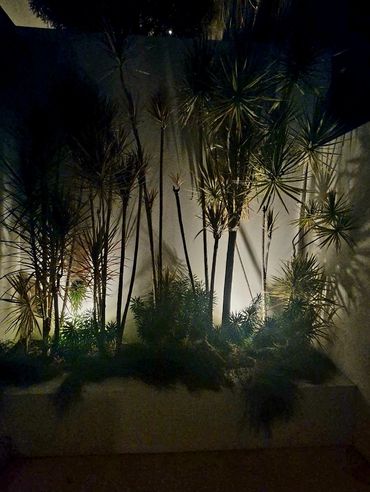 Garden lights