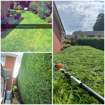 Conifer Hedge Trimming – Before and After
A mature conifer hedge professionally trimmed and reshaped