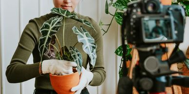 Image depicts of Cinematography live class