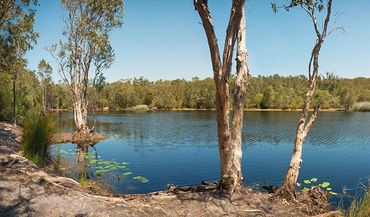 Tyagarah Nature reserve & Tea Tree Lake - 3km from Black Rock Farm