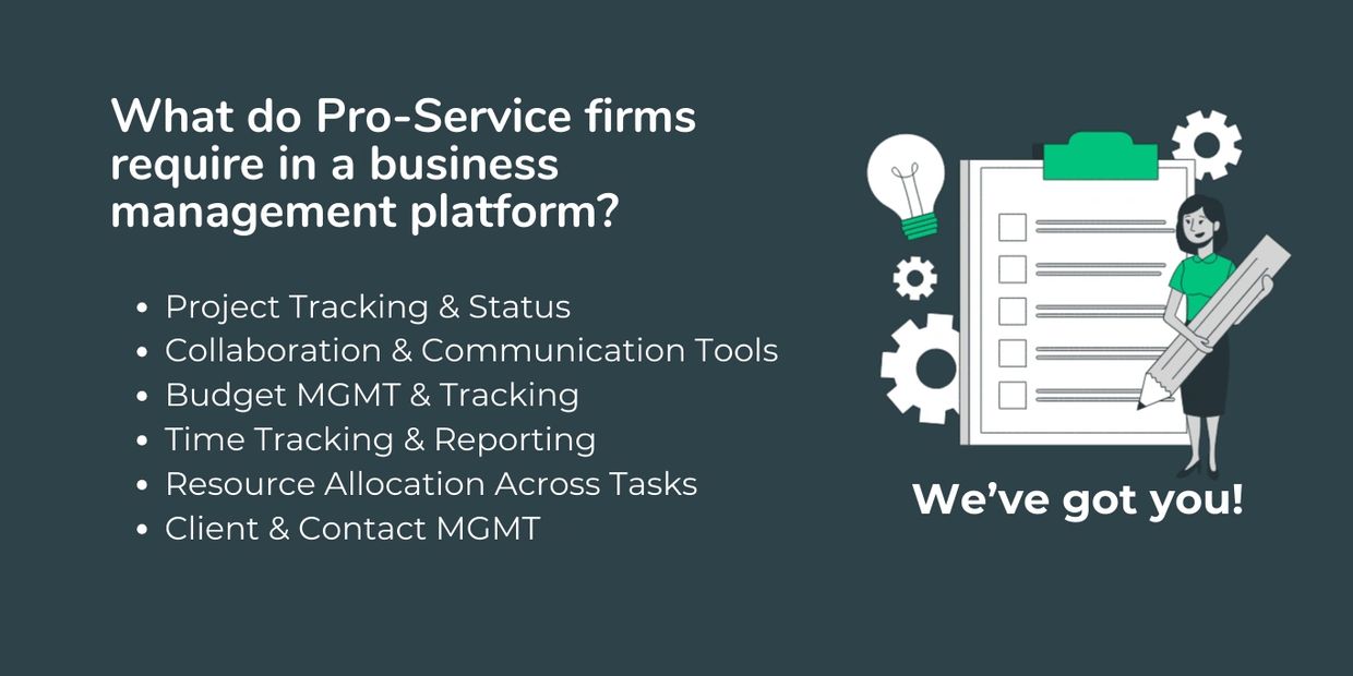Business management tools for pro-services. 
