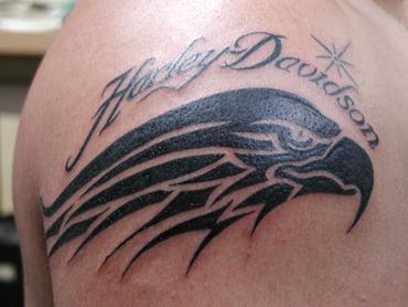 Lettering tattoo and head of hawk.