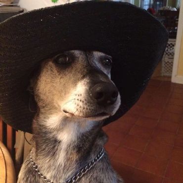 Sophie wearing a hat