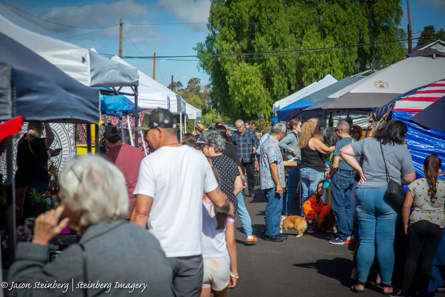 Many educational opportunities for local artists to share their knowledge as a CAN member in Clyde.