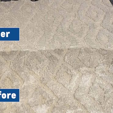 Results after professional area rug cleaning in Lehigh Valley PA