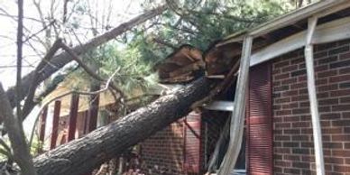A large tree has fallen onto a brick house, causing visible damage.