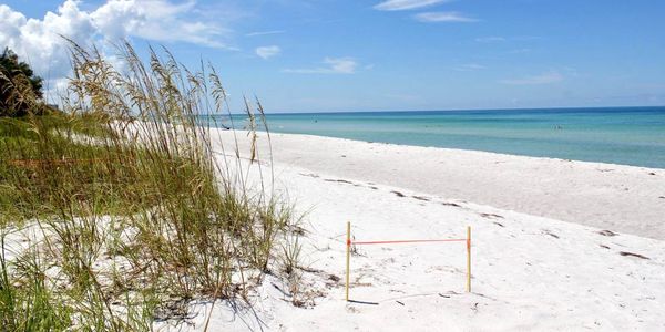 Bailey's Escape Longboat Key is 50 steps to this sea turtle egg laying, white sandy beach!