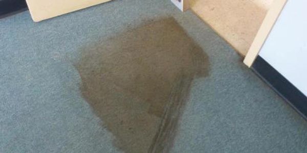 commercial carpet cleaning restoration