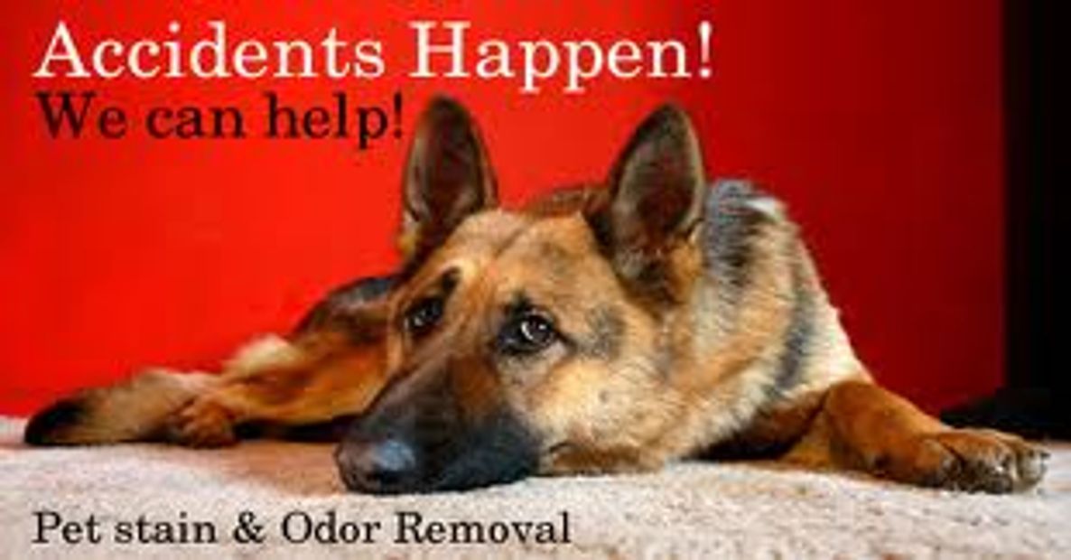 odour control and removal Edmonton