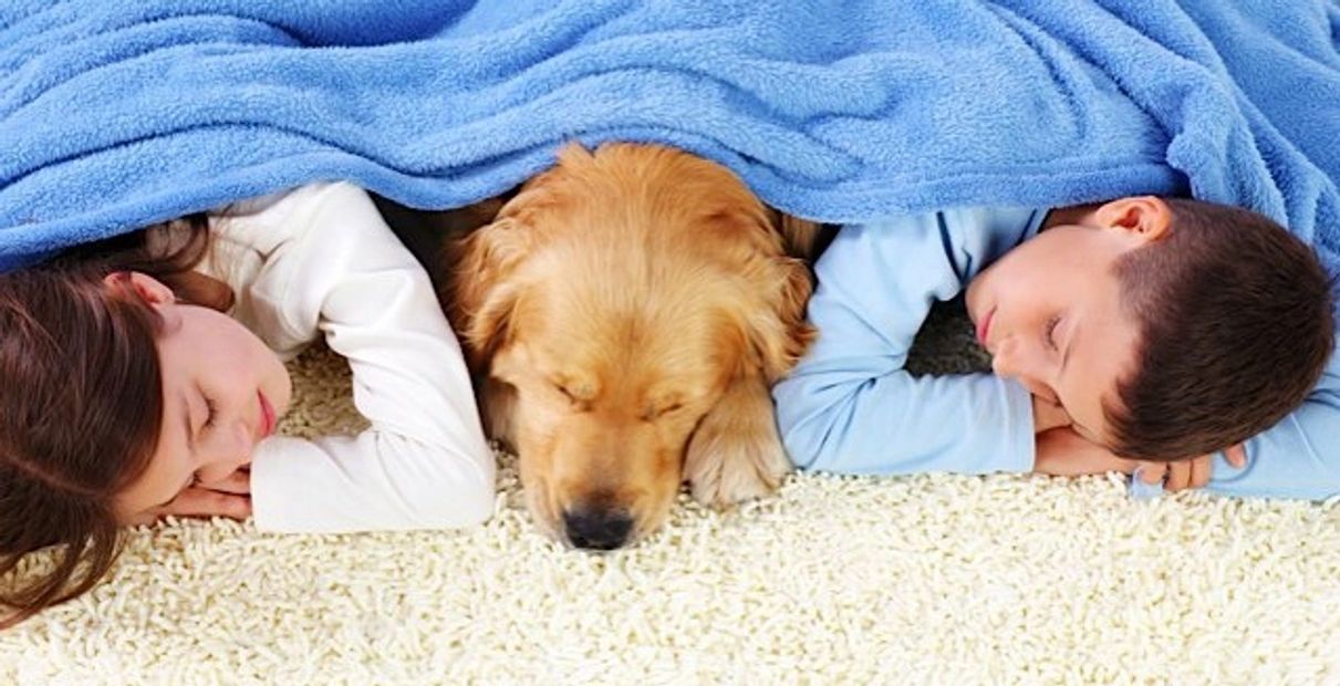 Residential Carpet Cleaning Edmonton