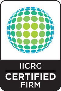 iicrc professional carpet cleaning Edmonton