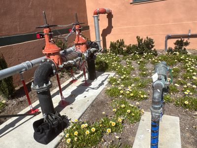 Outdoor irrigation system with pipes and valves surrounded by flowers.