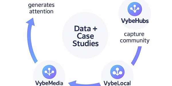 Flowchart showing VybeHubs, VybeLocal, and VybeMedia around Data + Case Studies.