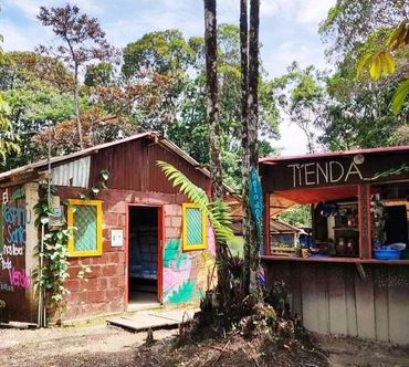 Avistamiento de Ballenas en Bahía Málaga con acomodación en cabañas nativas