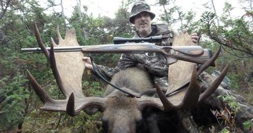 #moose #hunting #newfoundland #hunters #moosehunting #safari #moosehunter #caribou #outdoors #rifle
