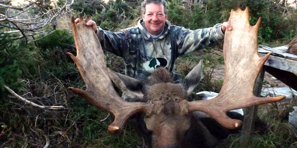 #moose #hunting #newfoundland #hunters #moosehunting #canada #moosehunter #caribou #outdoors #rifle