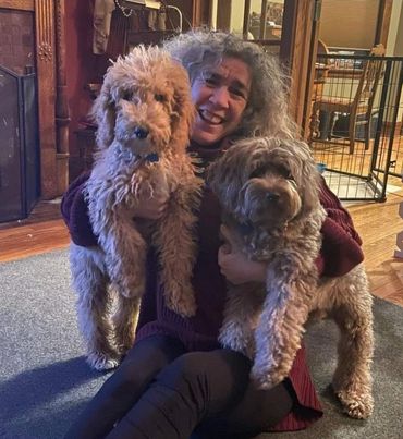 Micro mini brown bernedoodles
