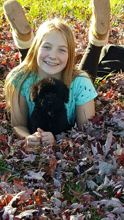 Young girl pictured with a black Moyen poodle puppy laying in fall leaves.