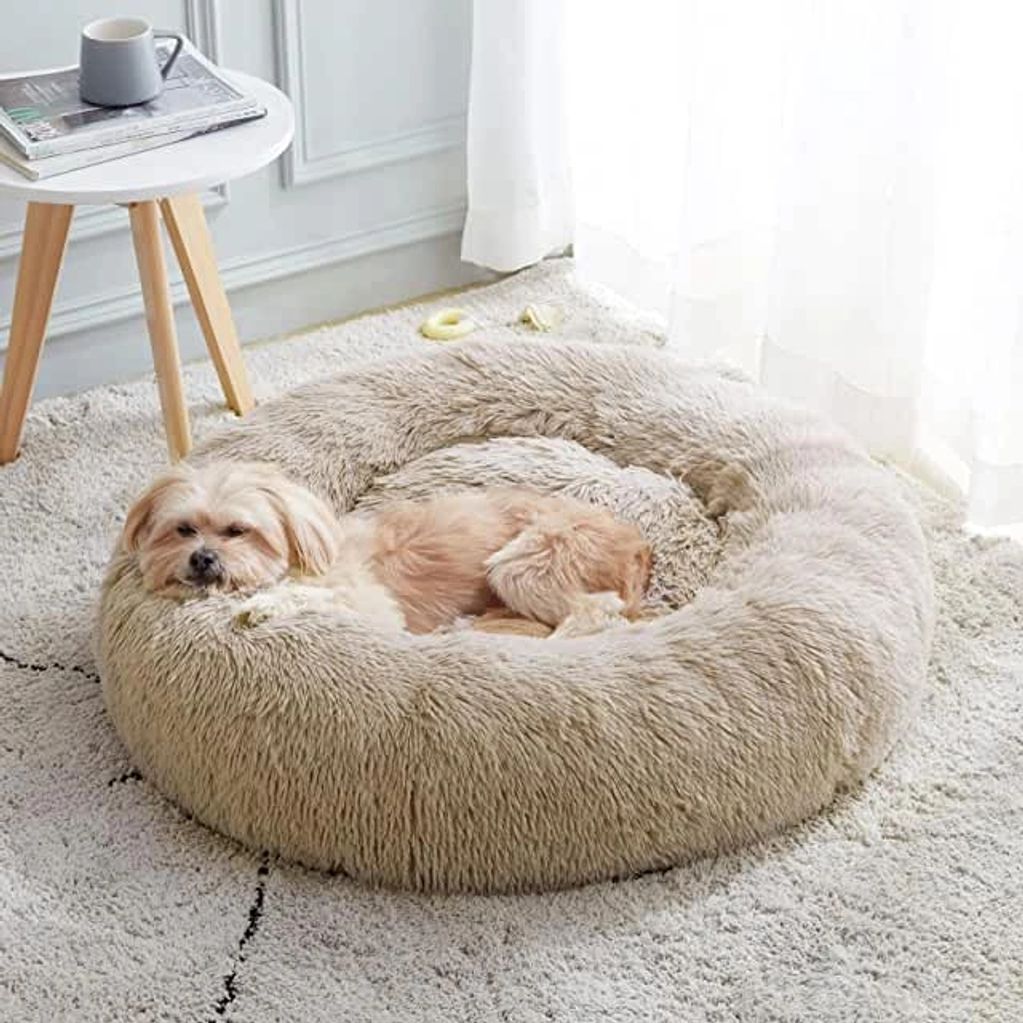 Calming dog bed 